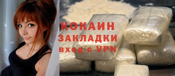 гашик Елизово