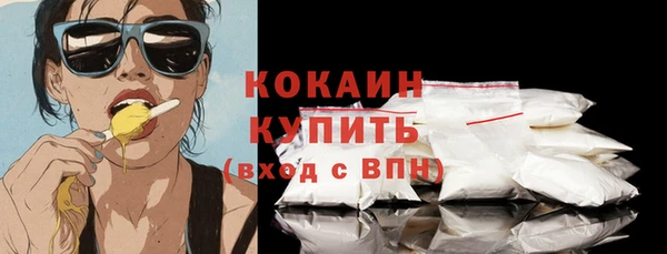 гашик Елизово