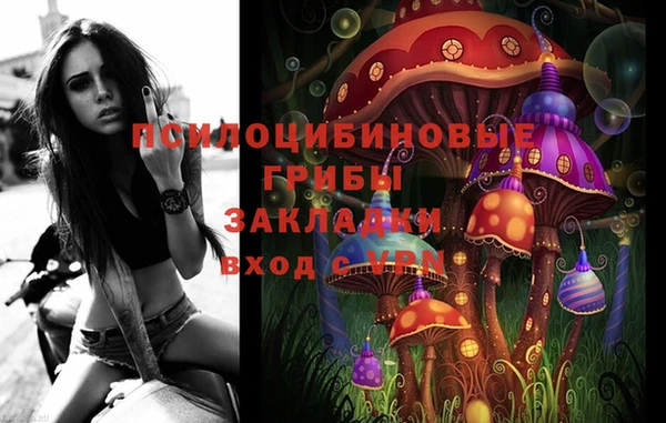 гашик Елизово