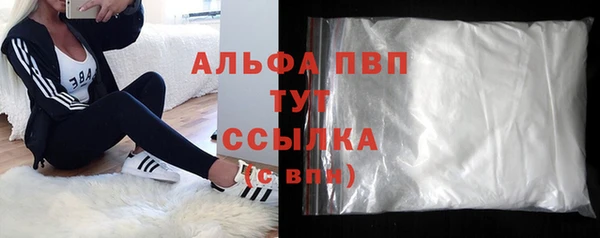 гашик Елизово