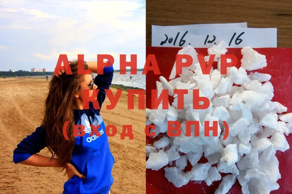 гашик Елизово