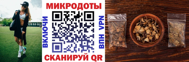 Псилоцибиновые грибы MAGIC MUSHROOMS  Купить закладки  Камень-на-Оби 