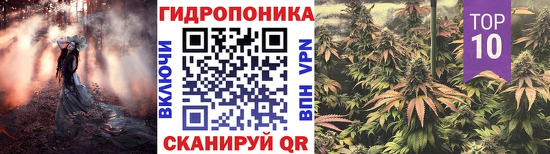 Купить закладки  Камень-на-Оби  Бошки Шишки семена 